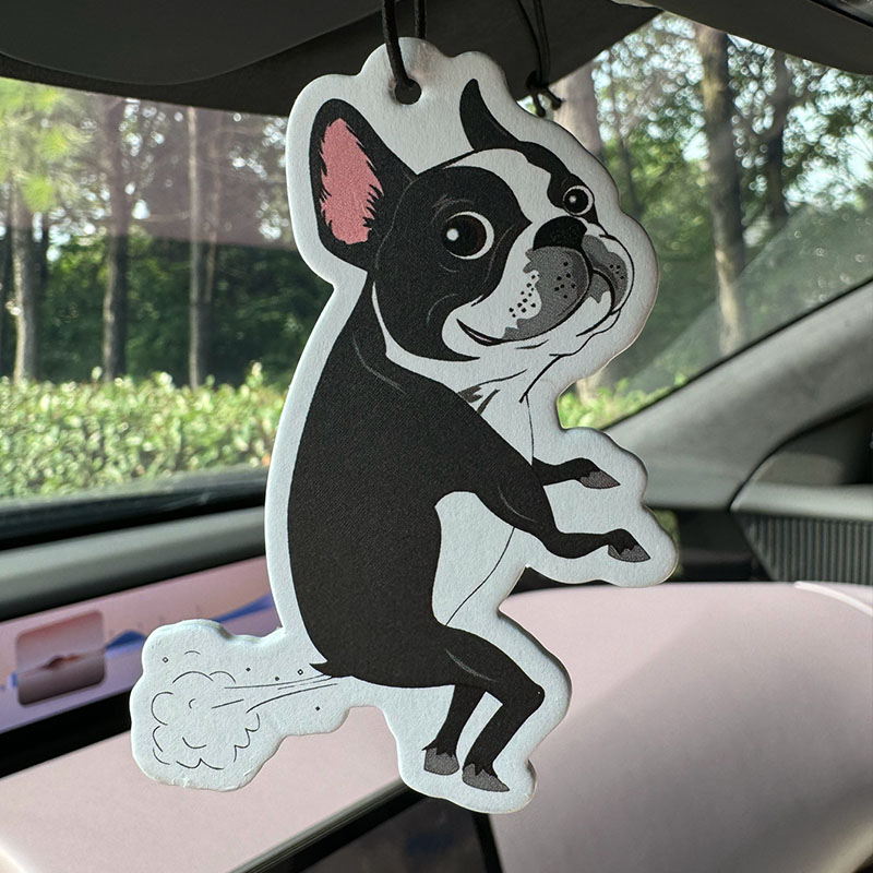 Boston Terrier Funny Dog Quote - Fragrance Quotes recensione e prezzo