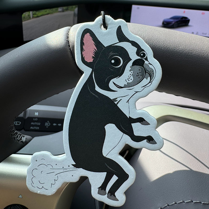 Boston Terrier Funny Dog Quote - Fragrance Quotes recensione e prezzo